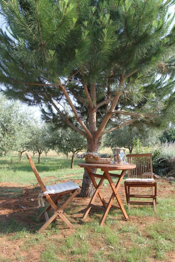Premantura Olive Garden Villa Exterior foto
