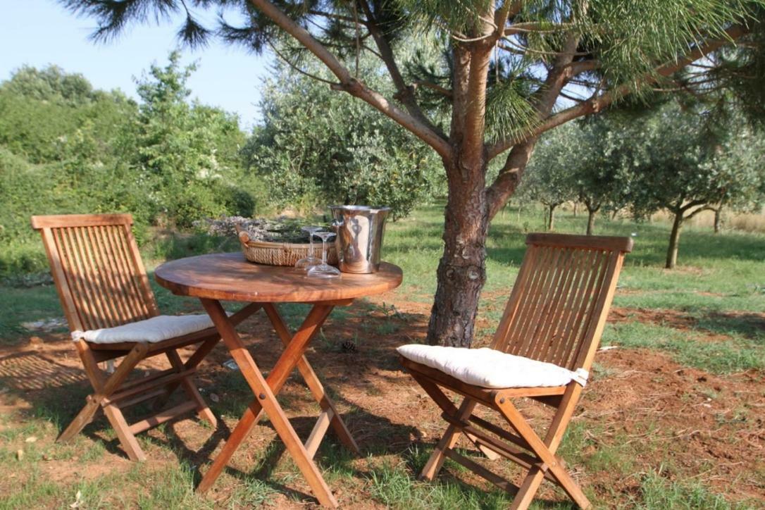 Premantura Olive Garden Villa Exterior foto