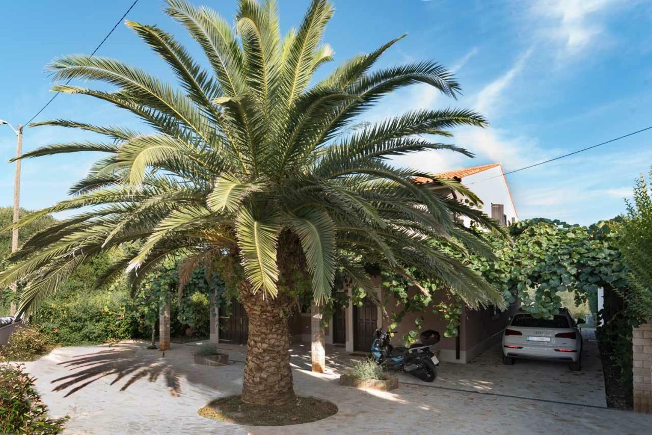 Premantura Olive Garden Villa Exterior foto